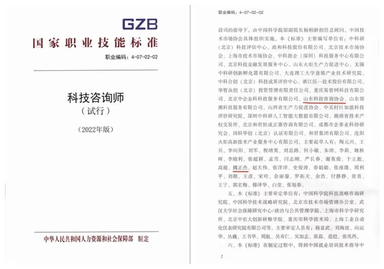 科技咨询师，职称、职责与职业发展